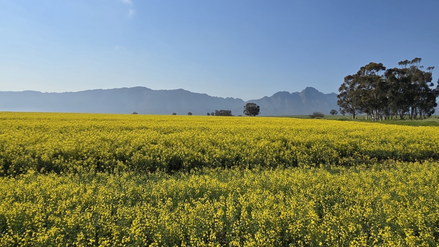 Commercial Property for Sale in Wellington Rural Western Cape